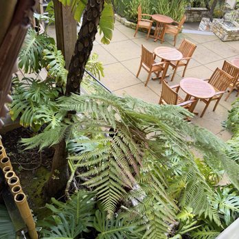 Tradewinds Carmel - Other side view of our backyard looking down from our porch, beautifully landscaped. - Hotels Near Me - Carmel, California