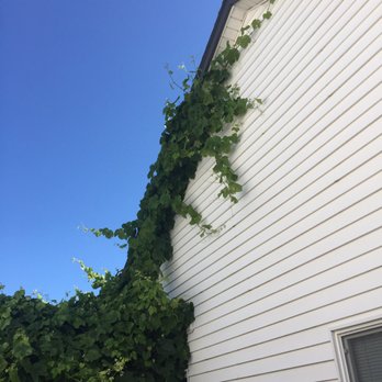 M & M Landscaping - Landscaping Near Me - Vancouver, Washington M & M Landscaping - Landscaping Near Me - Vancouver, Washington