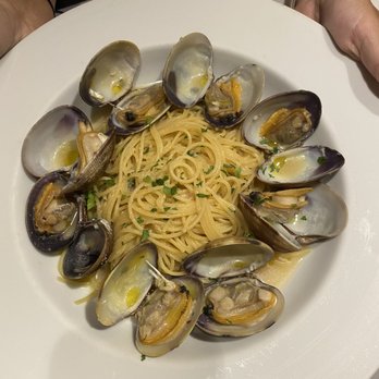 Bernini Honolulu - Vongole Bianco - Italian Near Me - Honolulu, Hawaii Bernini Honolulu - Vongole Bianco - Italian Near Me - Honolulu, Hawaii