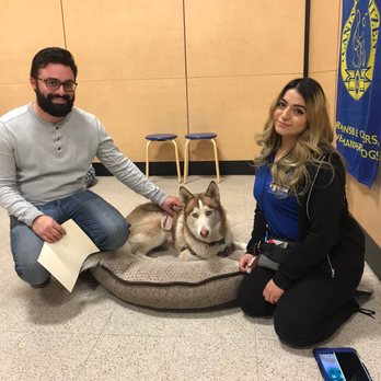 PetSmart - Dog teacher Gabby - Pet Stores Near Me - Upland, California
