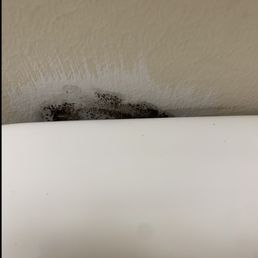 Black mold behind toilet. Black mold behind toilet.