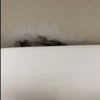 Caribe Resort - Black mold behind toilet. - Vacation Rentals Near Me - Orange Beach, Alabama Caribe Resort - Black mold behind toilet. - Vacation Rentals Near Me - Orange Beach, Alabama