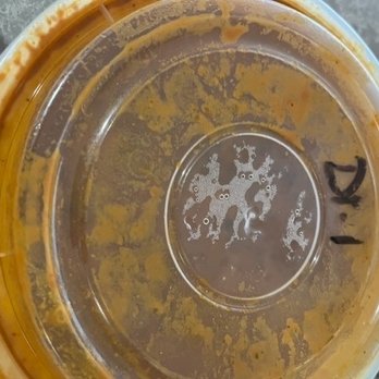 Mr India Meats & Restaurant - a dirty plate and a banana - Indian Near Me - Abbotsford, British Columbia