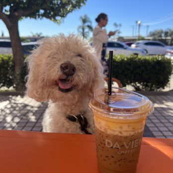 Da Vien Coffee - Egg Coffee* - Desserts Near Me - Westminster, California
