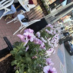Beautiful outdoor seating Beautiful outdoor seating