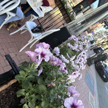 Wine Girl - Beautiful outdoor seating - Wine Bars Near Me - San Diego, California Wine Girl - Beautiful outdoor seating - Wine Bars Near Me - San Diego, California
