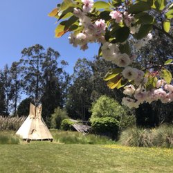 Therapeutic Massage by Paul Maeding - Tipi in the garden