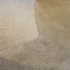 Holiday Carpet Cleaning gift card