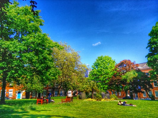 St. Paul's Church by null