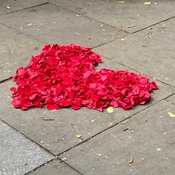 Cop Cot - A beautiful fresh rose petal where they say I do. - Parks Near Me - New York, New York