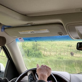 Whitefish Outfitters & Tours - Larry driving us through the Range and pointing out animals - Tours Near Me - Whitefish, Montana Whitefish Outfitters & Tours - Larry driving us through the Range and pointing out animals - Tours Near Me - Whitefish, Montana