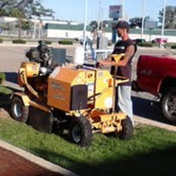 Top Flight Tree Removal - Tree Services Near Me - Saginaw, Michigan Top Flight Tree Removal - Tree Services Near Me - Saginaw, Michigan
