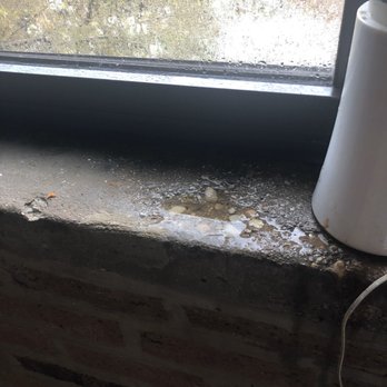 Chicago Apartment Place - Mold in my bedroom above Prarireland Montessori. - Apartments Near Me - Chicago, Illinois Chicago Apartment Place - Mold in my bedroom above Prarireland Montessori. - Apartments Near Me - Chicago, Illinois