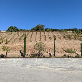Cougar Vineyard & Winery - Wineries Near Me - Temecula, California Cougar Vineyard & Winery - Wineries Near Me - Temecula, California