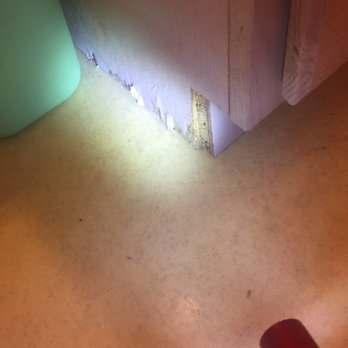 Greybeard Rentals - I wonder how many rodents are enjoying this wet particle board lunch buffet - Vacation Rental Agents Near Me - Black Mountain, North Carolina