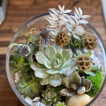Town Social Events - One of our DIY (but guided) terrarium builds! - Party & Event Planning Near Me