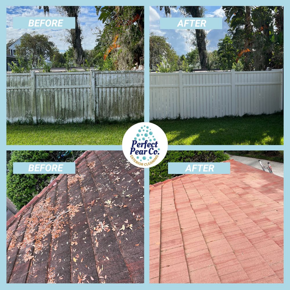 Slide of Perfect Pear