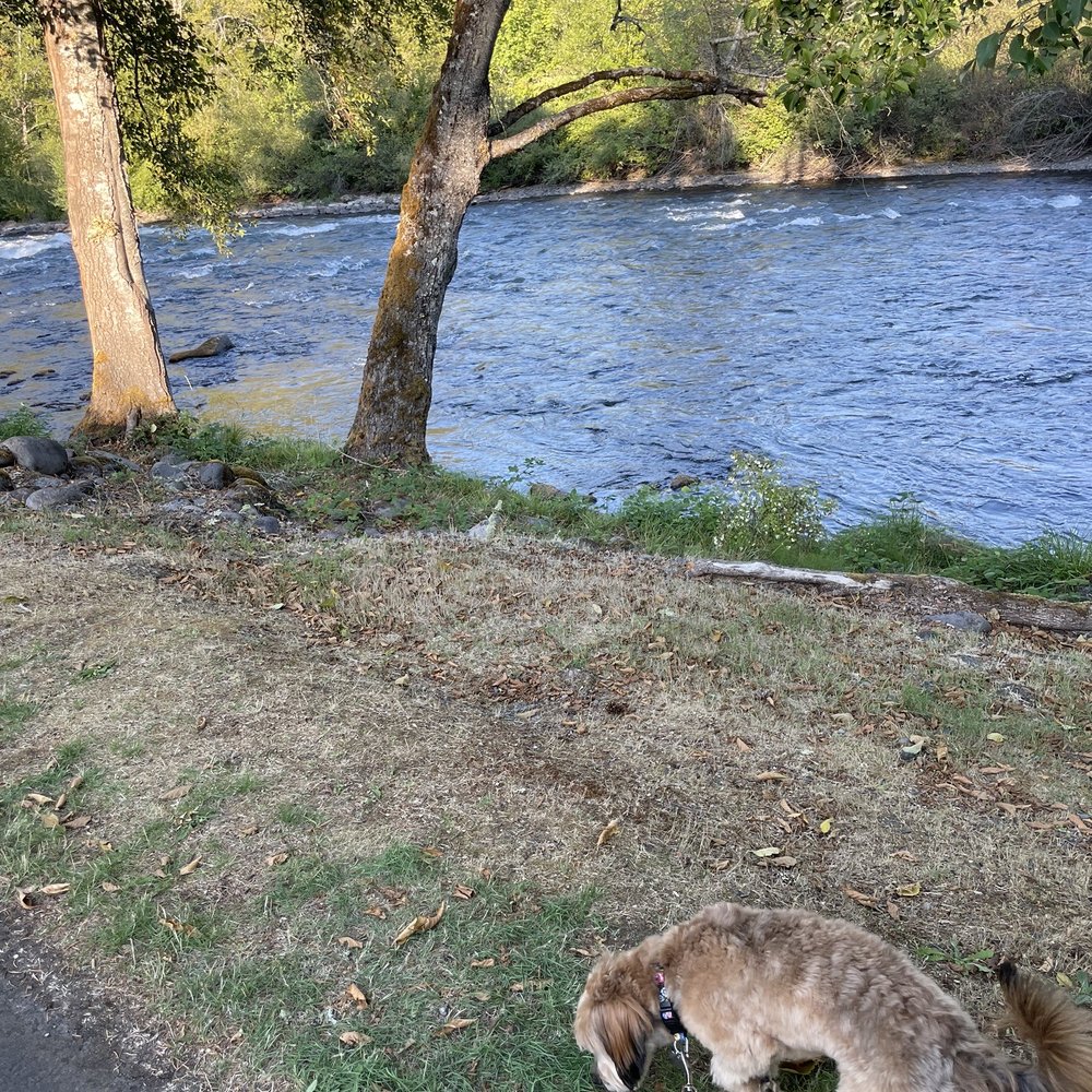Casey's Riverside RV Park - Dogs are welcome - RV Parks Near Me - Westfir, Oregon