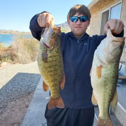 Havasu Net Em - Smallmouth-Largemouth 20-21 Season