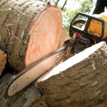 Backyard Stump and Tree Removal - Tree Services Near Me - Akron, Ohio Backyard Stump and Tree Removal - Tree Services Near Me - Akron, Ohio