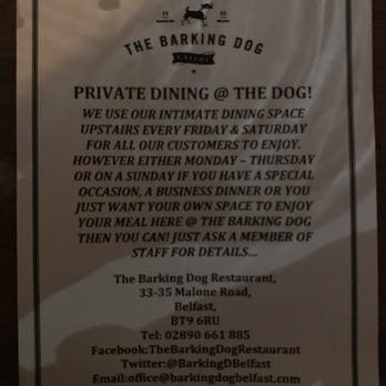Barking Dog Restaurant - Modern European Near Me - Belfast, BFS Barking Dog Restaurant - Modern European Near Me - Belfast, BFS
