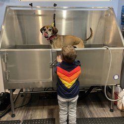 Shedquarters Self Pet Wash Pet Supplies Giftly Email, Text or