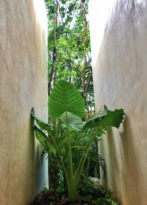 Una Vida, Tulum by null