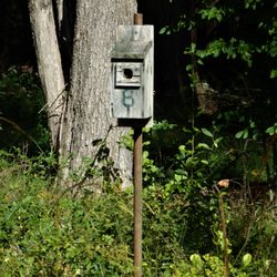 New Jersey Audubon Society - Bird House