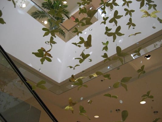 Neiman Marcus by null