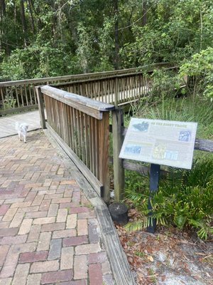 Shingle Creek Regional Park by null