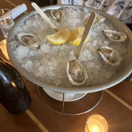 Oysters