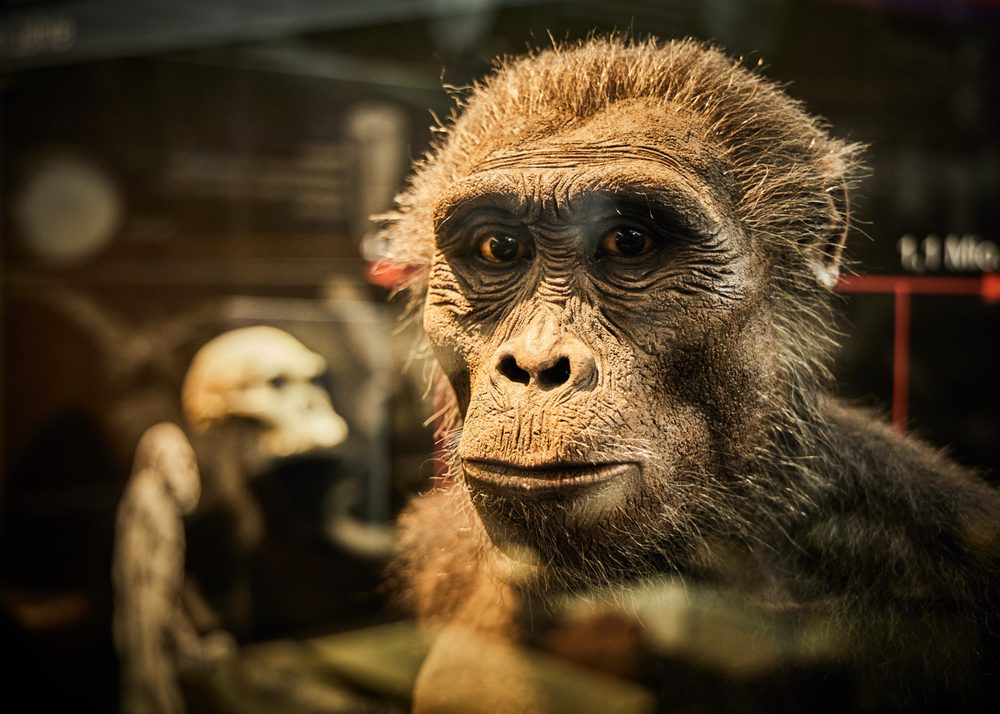 Kulturama Museum des Menschen