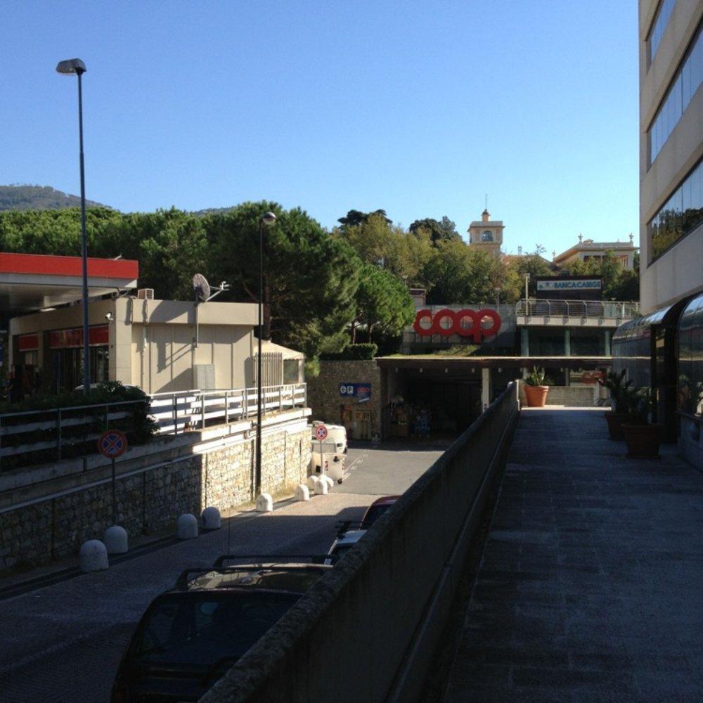 Florence \u0026 Tuscany, image size:1000x1000