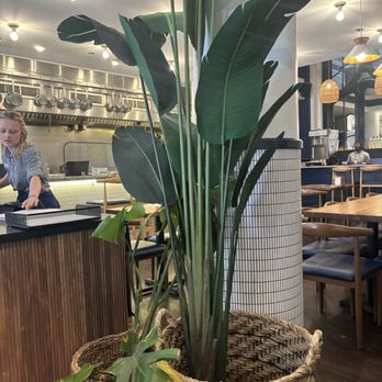 Taco Azul - Mexican Near Me - Boston, Massachusetts