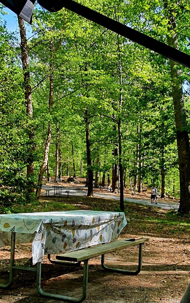 Social spots from Paris Mountain State Park