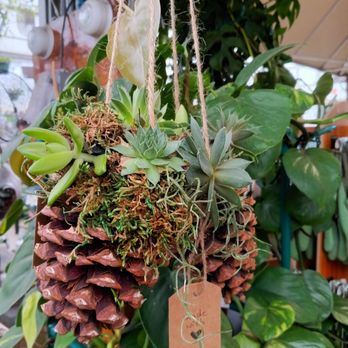 Seasons Nursery - Nurseries & Gardening Near Me - Gaithersburg, Maryland