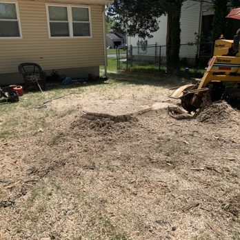 Dogwood Tree Service - Grind big oak stump at Burlington - Tree Services Near Me - Beverly, New Jersey Dogwood Tree Service - Grind big oak stump at Burlington - Tree Services Near Me - Beverly, New Jersey