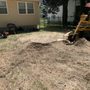 Photo of Dogwood Tree Service