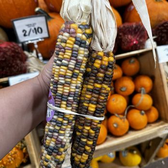 Sprouts Farmers Market - Fall ready - Grocery Near Me - Cerritos, California Sprouts Farmers Market - Fall ready - Grocery Near Me - Cerritos, California