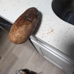 Walmart Supercenter - Maggots from russet potatoes. Disgusting a d absolutely shocking!
