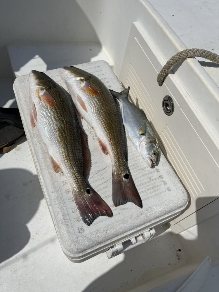 Keel-N-Time Fishing Charters Logo
