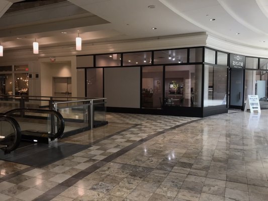 Revelator: Sweet Tooth by null