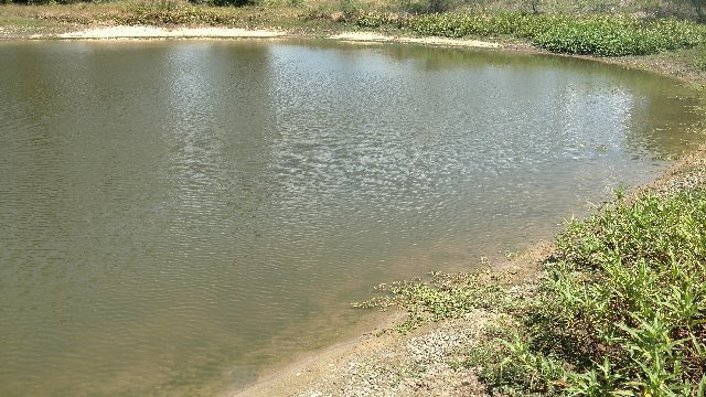 CIRCLE R RANCH RV RESORT - Updated January 2026 - 146 Robinson Rd ...