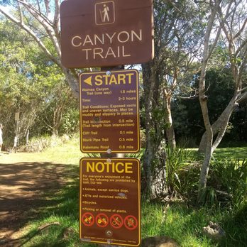 Waimea Canyon State Park - Waimea Canyon Lookout trails - Parks Near Me - Waimea, Hawaii Waimea Canyon State Park - Waimea Canyon Lookout trails - Parks Near Me - Waimea, Hawaii