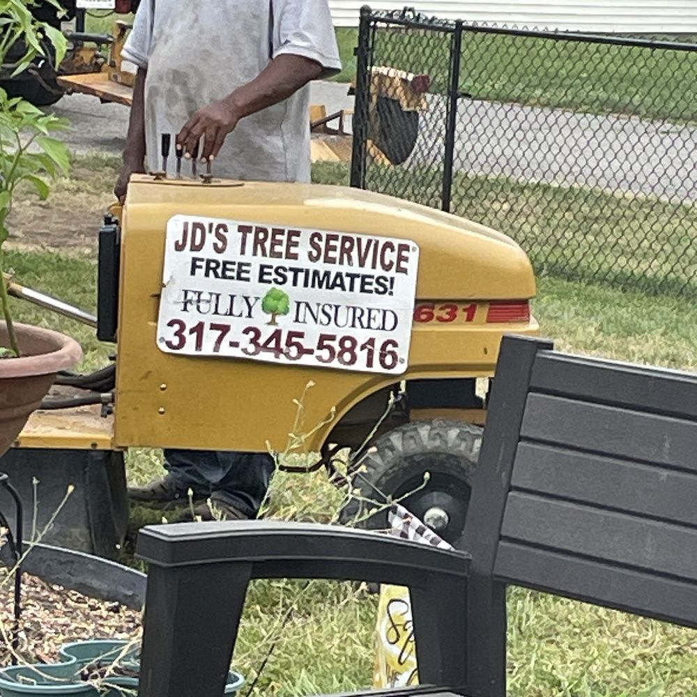 Andy's tree & landscape - Tree Services Near Me - Indianapolis, Indiana