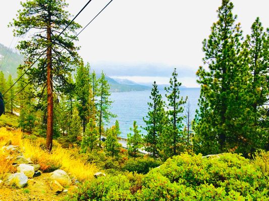 Tahoe East Shore Trail by null