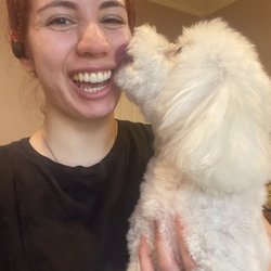 Dani The Dog Nanny