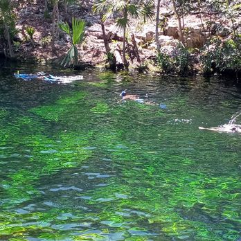 Cenote Jardín del Edén - Free Diving Near Me - Playa del Carmen, ROO