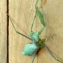 Photo of Barton Family Pest Control