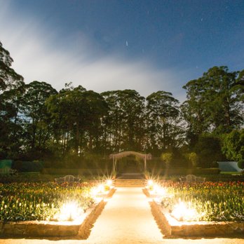 Mount Tomah Botanic Garden, Blue Mountains - Formal Garden at Night - Bookstores Near Me - Bilpin, NSW Mount Tomah Botanic Garden, Blue Mountains - Formal Garden at Night - Bookstores Near Me - Bilpin, NSW